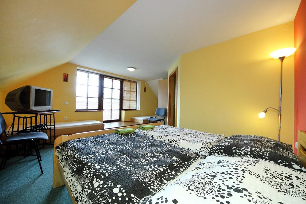 Pension Druhy Domov Novy Bor Exterior photo